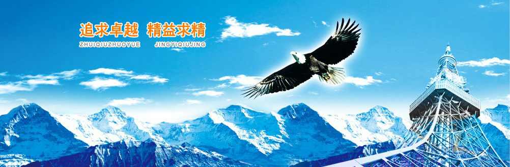 追求卓越 精益求精